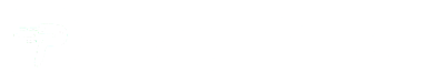 Saola Labs - Singularity icon